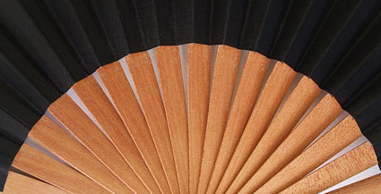 Hand Fan For Men CG340N